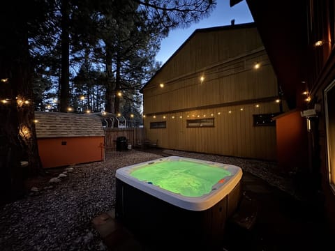 Backyard At Night

