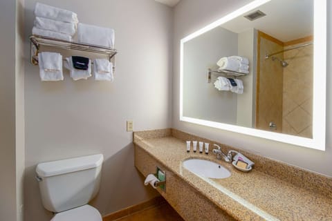 Combined shower/tub, eco-friendly toiletries, hair dryer, towels