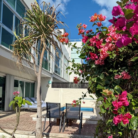Beautiful Bougainvillea