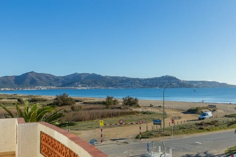 view (1)