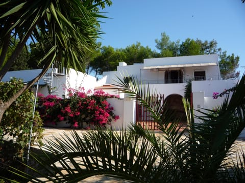 The villa
La villa