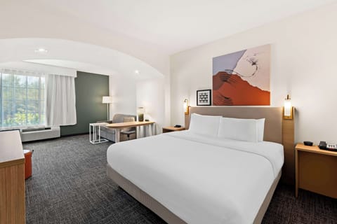 Room, 1 King Bed with Sofa bed | Living area | Flat-screen TV