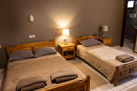 Basic Triple Room, 1 Bedroom, Non Smoking | Free WiFi