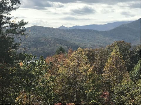 Fall view at Bel Aire Bliss