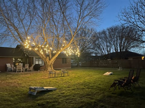 Edison Lighting