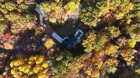 Your private retreat in the woods—heated pool, hot tub and room for everyone to reconnect.