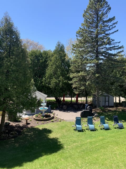 Plush and green views from the patio in spring and summer