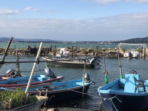 Marina