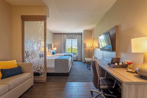 Hypo-allergenic bedding, minibar, in-room safe, desk