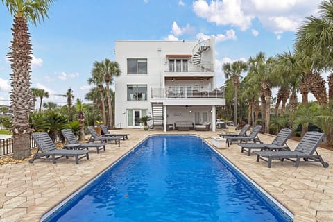 Long lap-style pool framed by palms & sun loungers