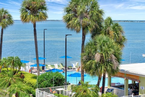 Outdoor pool, open 8:00 AM to 6:00 PM, sun loungers