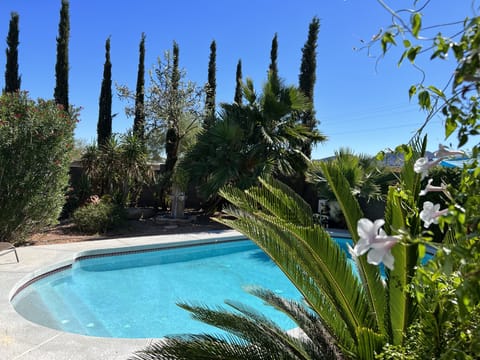 Private Backyard Oasis