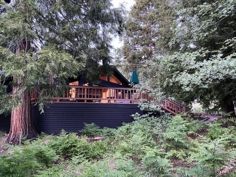 Welcome to Fernwood.

*Ferns are seasonal (May - October)