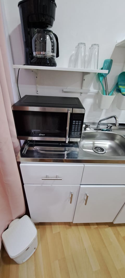 Family Room, 1 Queen Bed (Habitacion No. 4) | Private kitchen | Full-size fridge, microwave, oven, coffee/tea maker