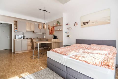 Cozy lovely apartment studio