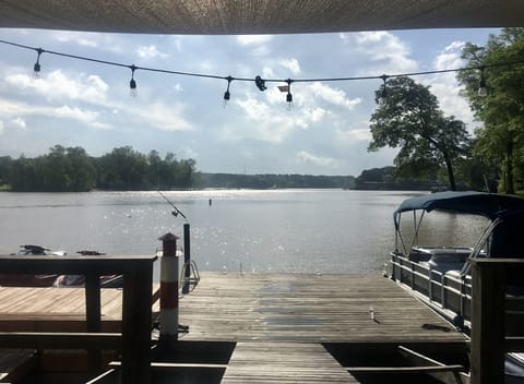 Taking in the views