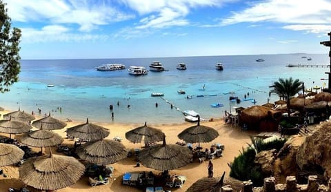 Beach/ocean view