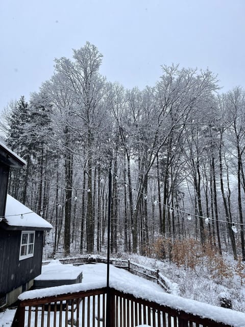 House, 4 Bedrooms | Property grounds