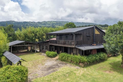 PARADISE aerial view of the internal garden, the surroundings of FARMLAND  with the volcano in the background. 