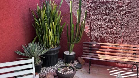 Villa | Property grounds