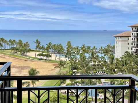 View to scale from our lanai railing.