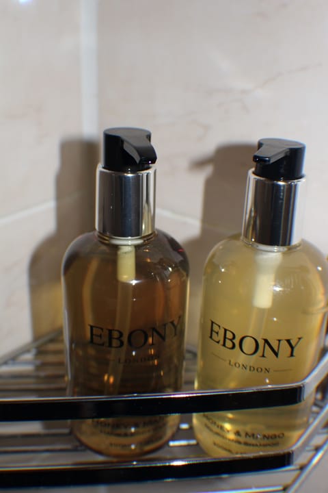 Standard Single Room | Bathroom amenities | Shower, hair dryer, towels, soap