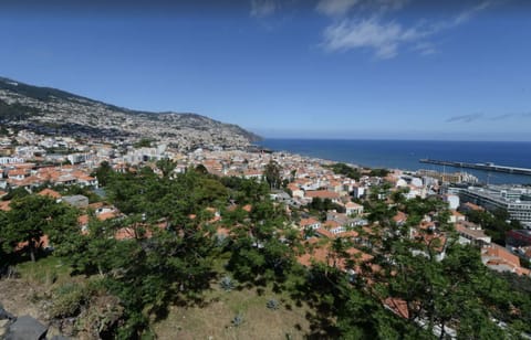 VISTA NASCENTE