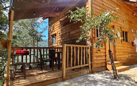 Terrace - Mariposa Cabin