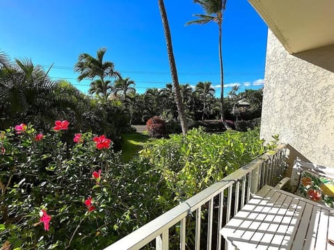 Beautiful day in Hawaii Nei