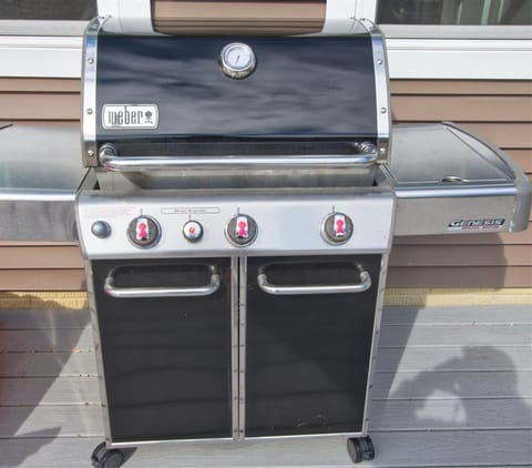 Your Gas Grill is Located on Your Dock Deck in the Back Yard