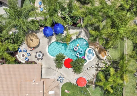 An aerial view of your tropical paradise!
