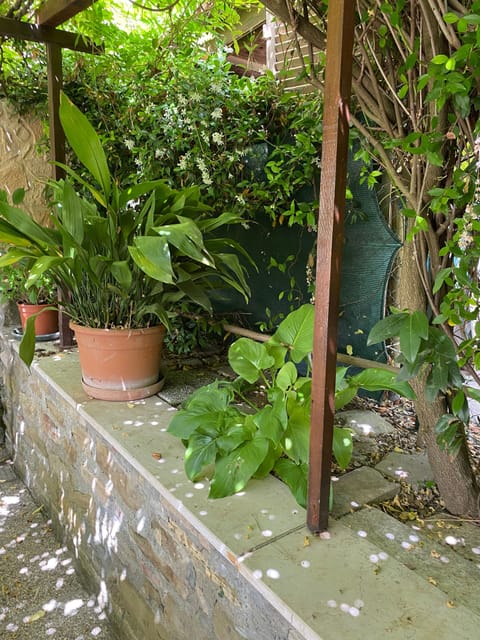 House, 2 Bedrooms, Smoking, Balcony | Exterior