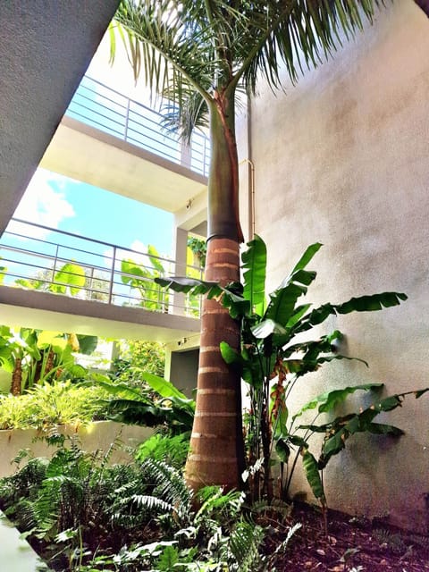 Courtyard view