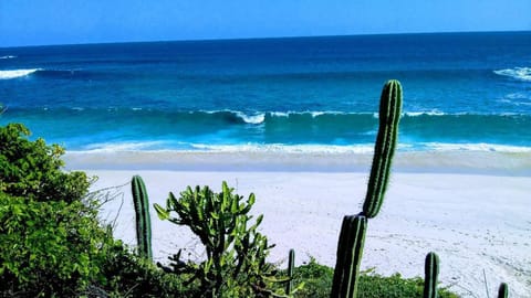 Bungalow, 1 Bedroom, Smoking, Patio | Beach