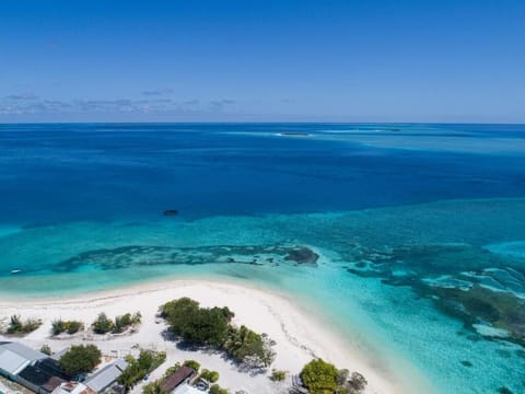 On the beach, white sand