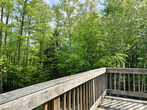 Second Floor Deck - Views to back yard and fire pit area