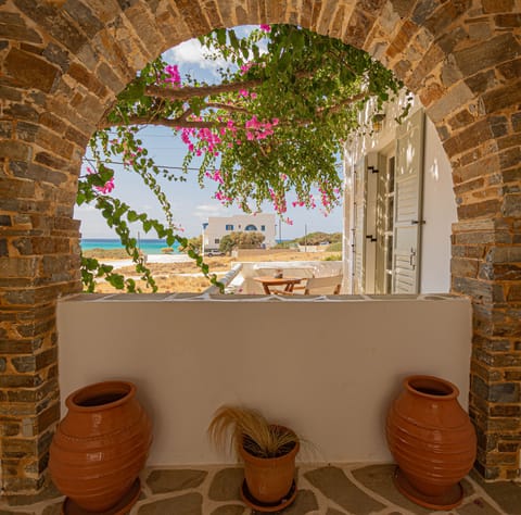 Senior Studio | Terrace/patio