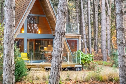 Woodpecker, Weybourne: A beautiful, Scandinavian A-frame lodge in Weybourne Forest
