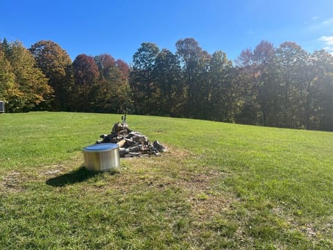 Solo stove/ Fire pit