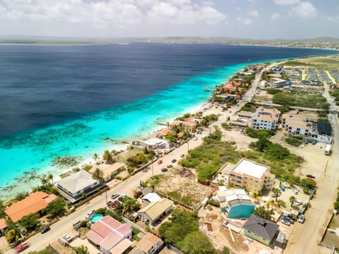 Ariel view before pool and deck were built.  