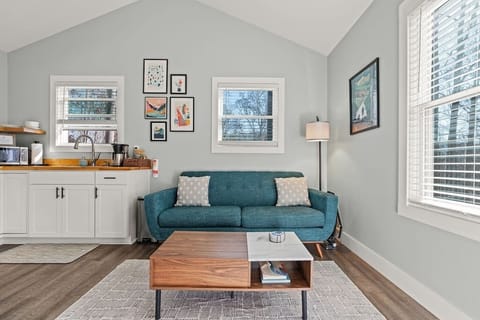 Cozy living room with lots of sunlight
