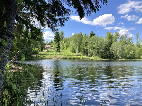 View from the water