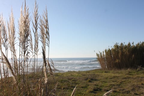 Beach nearby, beach umbrellas, beach towels