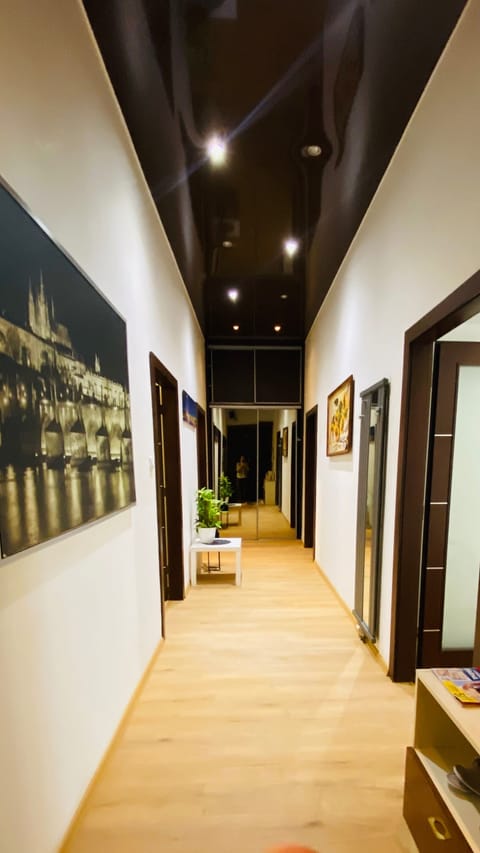 Apartment | Interior