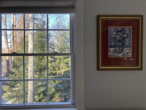 Balsam firs outside the bedroom window