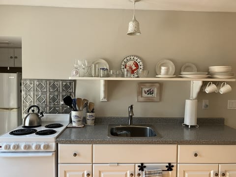 The kitchen is fully equipped and ready for cooking.