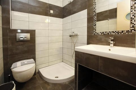 Deluxe Double or Twin Room | Bathroom | Shower, hair dryer, towels, soap