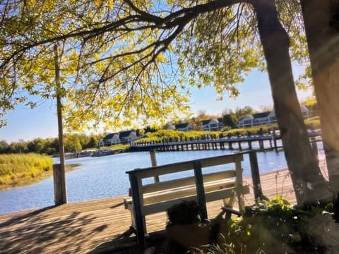 Beautiful view of the harbor.