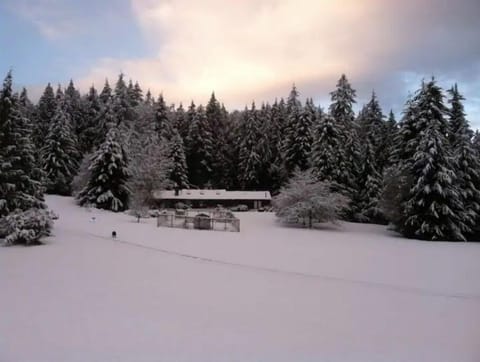 Winter wonderland!!!
