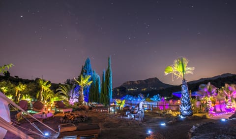 Night view